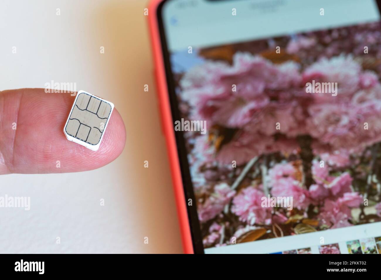 FingerTIP che mostra una scheda SIM accanto a un telefono cellulare, Stati Uniti Foto Stock