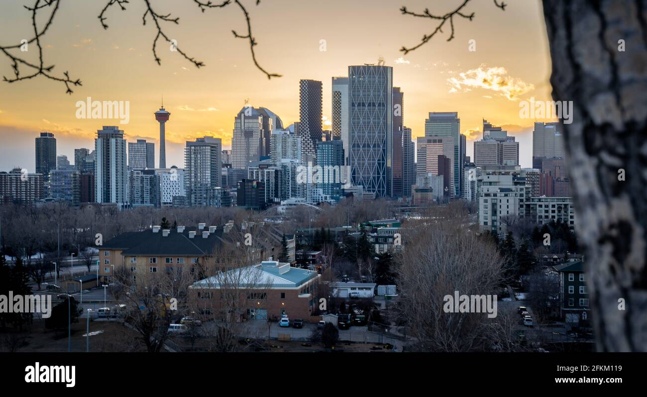 Paesaggio cittadino al tramonto di Calgary Alberta Canada al Tom Campbell Park. Foto Stock