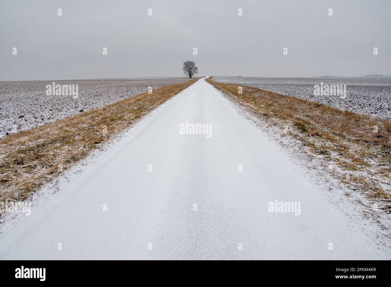 La neve coperta una strada di campagna in Illinois rurale a seguito di una tempesta di neve con luce fiurry che continua. Foto Stock