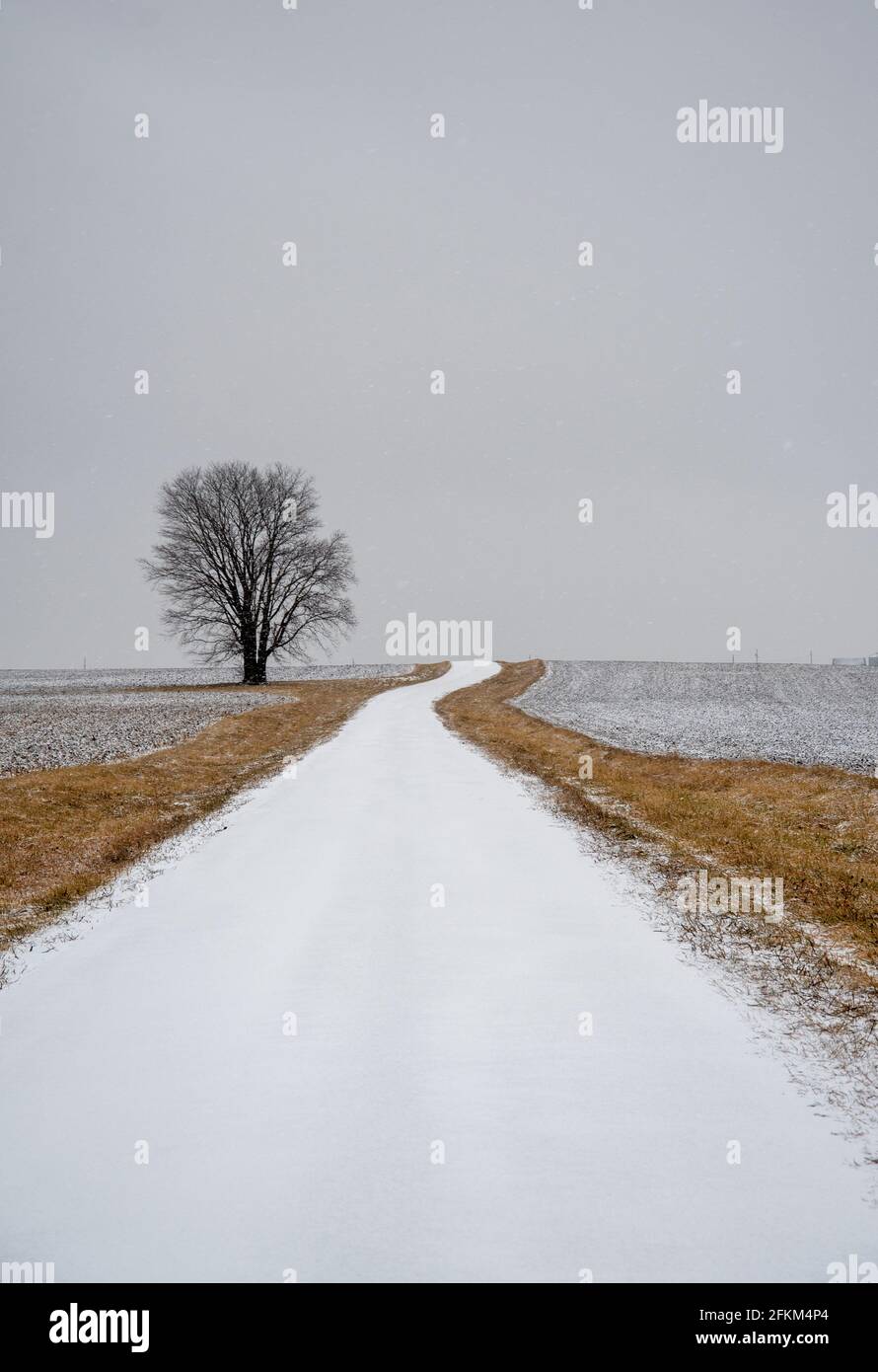 La neve coperta una strada di campagna in Illinois rurale a seguito di una tempesta di neve con luce fiurry che continua. Foto Stock