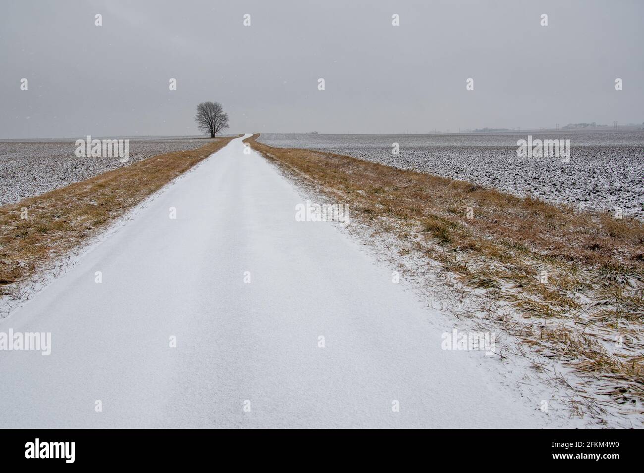 La neve coperta una strada di campagna in Illinois rurale a seguito di una tempesta di neve con luce fiurry che continua. Foto Stock