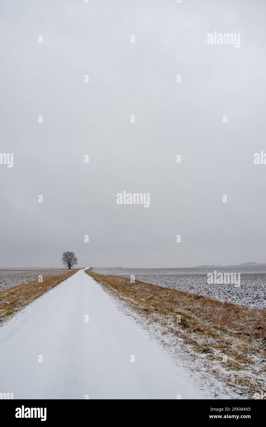 La neve coperta una strada di campagna in Illinois rurale a seguito di una tempesta di neve con luce fiurry che continua. Foto Stock
