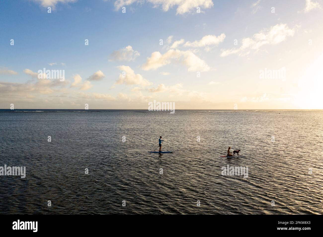 Due persone e un cane paddleboarding sull'oceano a. tramonto Foto Stock