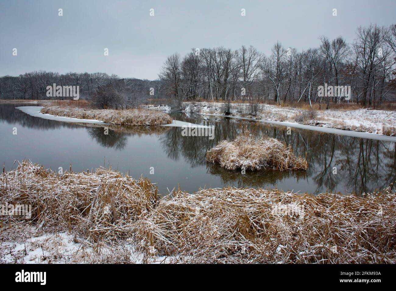 Fiume invernale nella foresta con neve Foto Stock