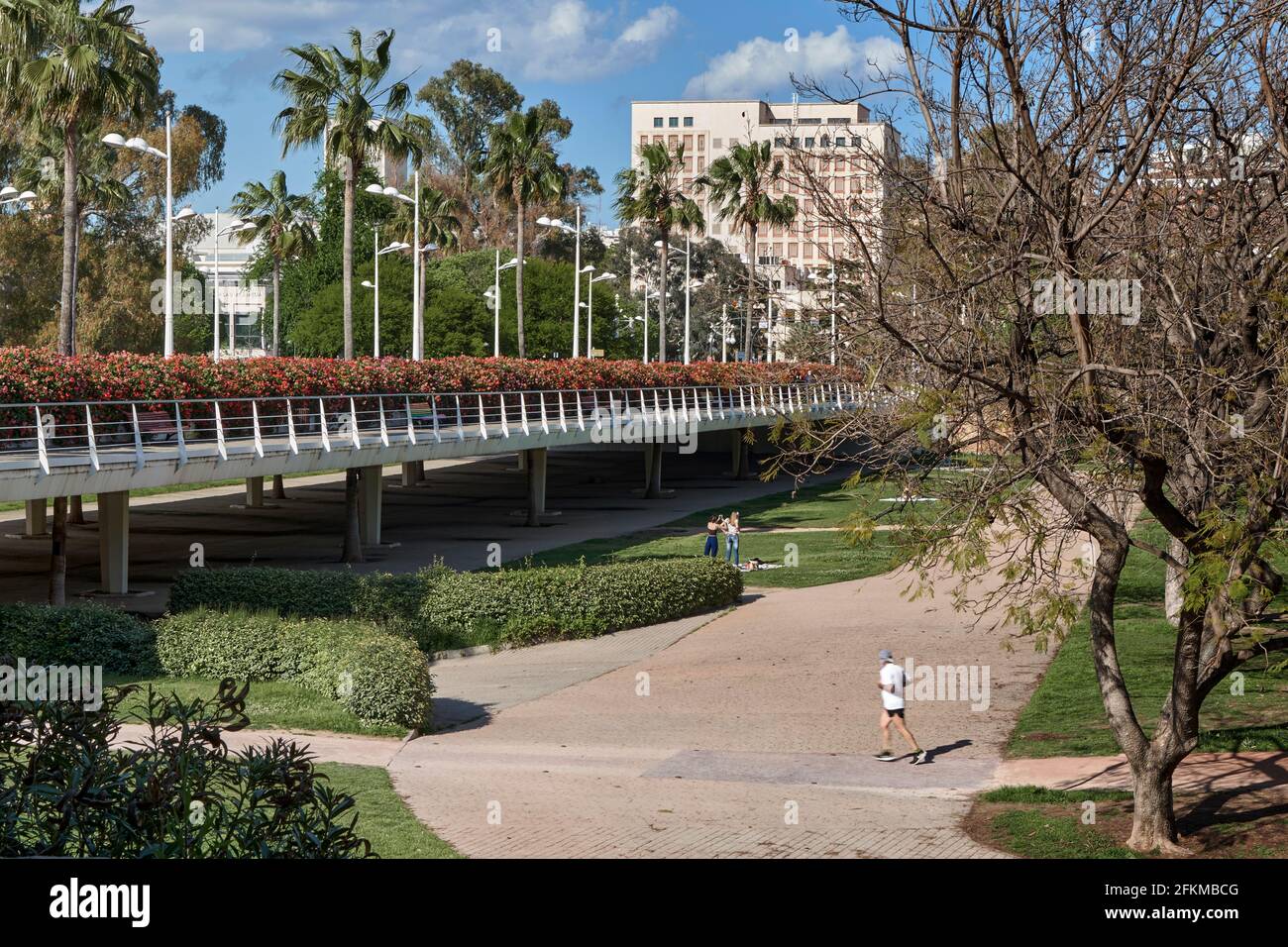 Il ponte dei fiori attraversa il Jardin del Turia nella città di Valencia. Architetto Santiago Calatrava. Spagna, Europa Foto Stock
