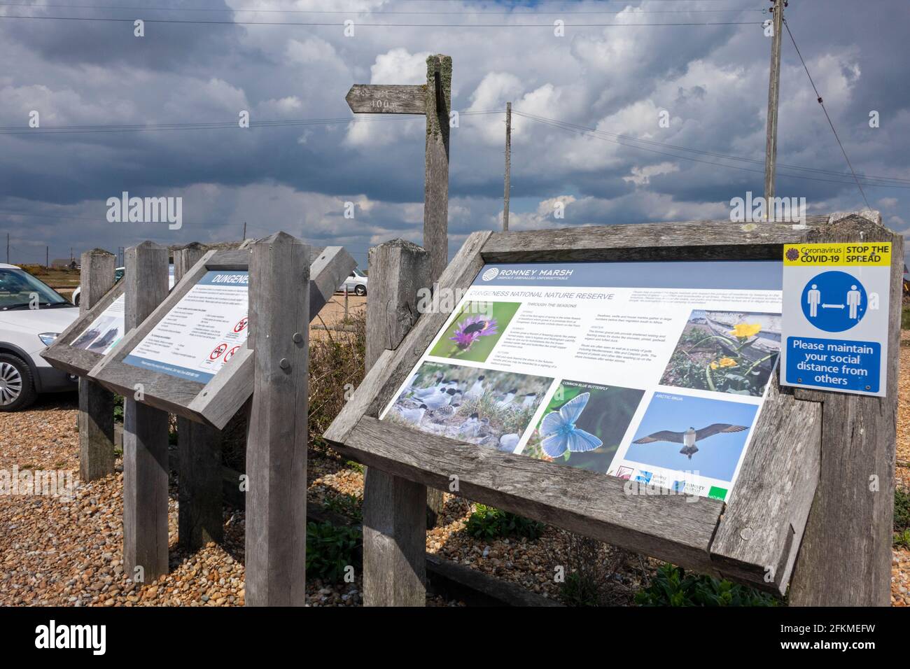 Dungeness, Kent, Riserva Naturale Foto Stock