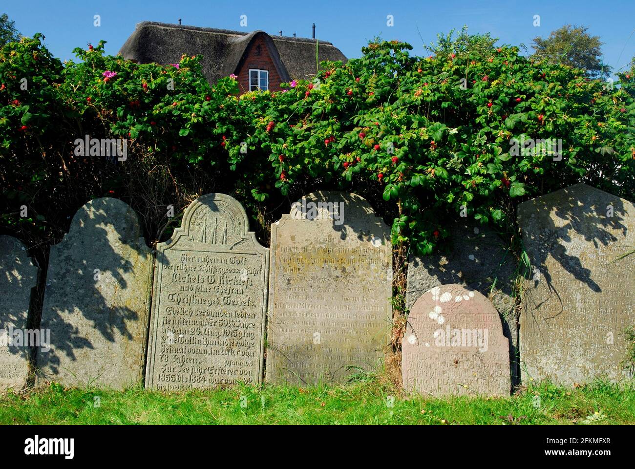 Pietre parlanti, lapidi in pietra arenaria, vicino alla chiesa di San Clemens, Nebel, Amrum, Schleswig-Holstein, Germania Foto Stock