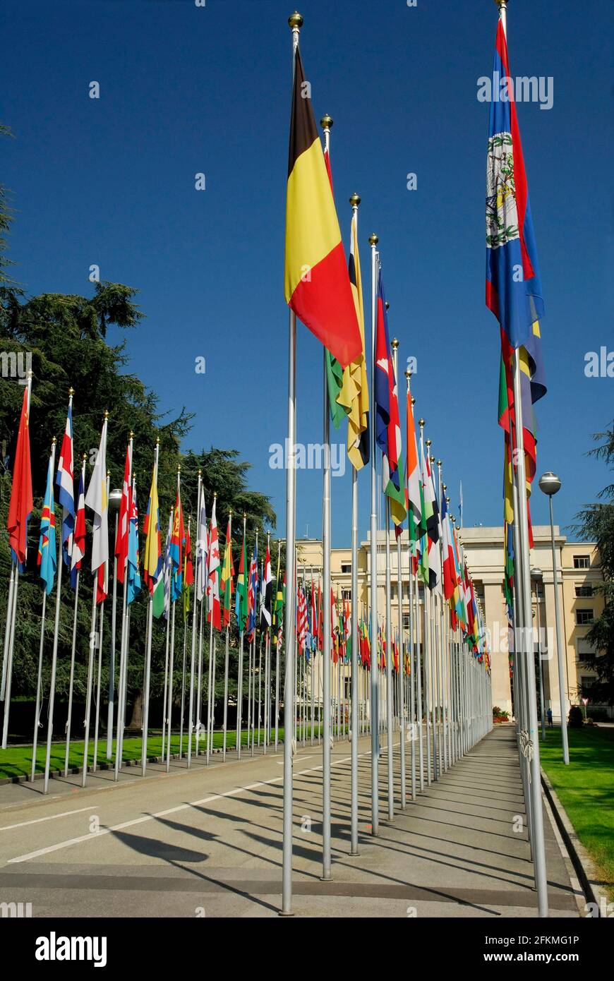 Nazioni Unite, ONU, ONU, Bandiera, Palais des Nations, Ginevra, Cantone di Ginevra, Svizzera Foto Stock