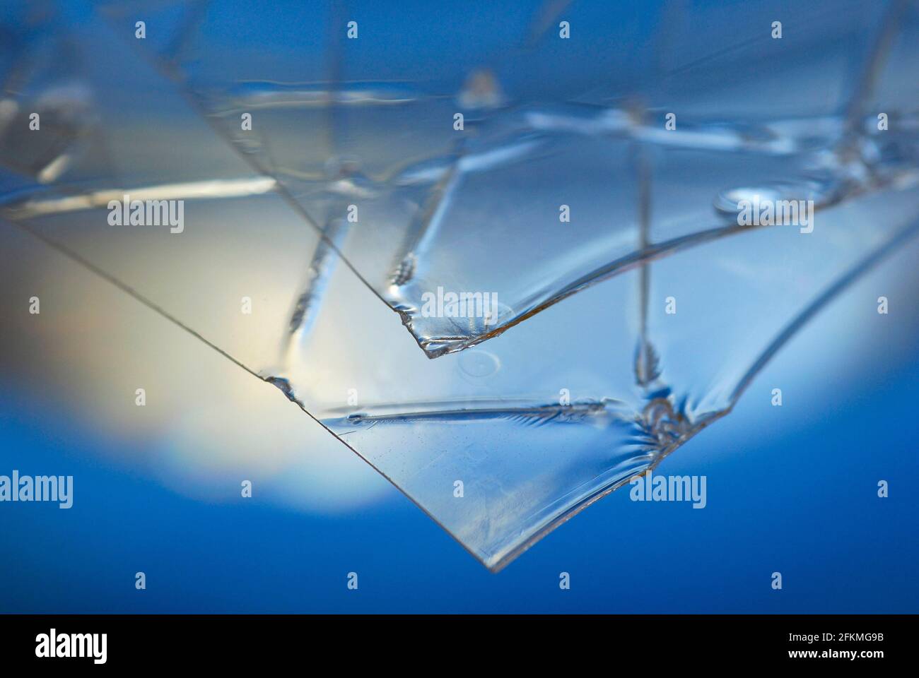 Gelatina in foglia, foglia di gelatina, gelatina commestibile, gelificante Foto Stock