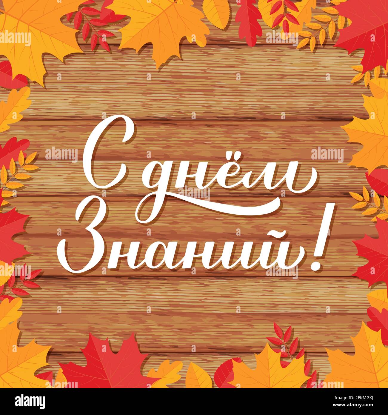 Giornata della conoscenza in calligrafia russa scritta a mano su sfondo di legno con foglie d'autunno. Primo giorno di scuola in Russia. Modello vettoriale per tipograp Illustrazione Vettoriale