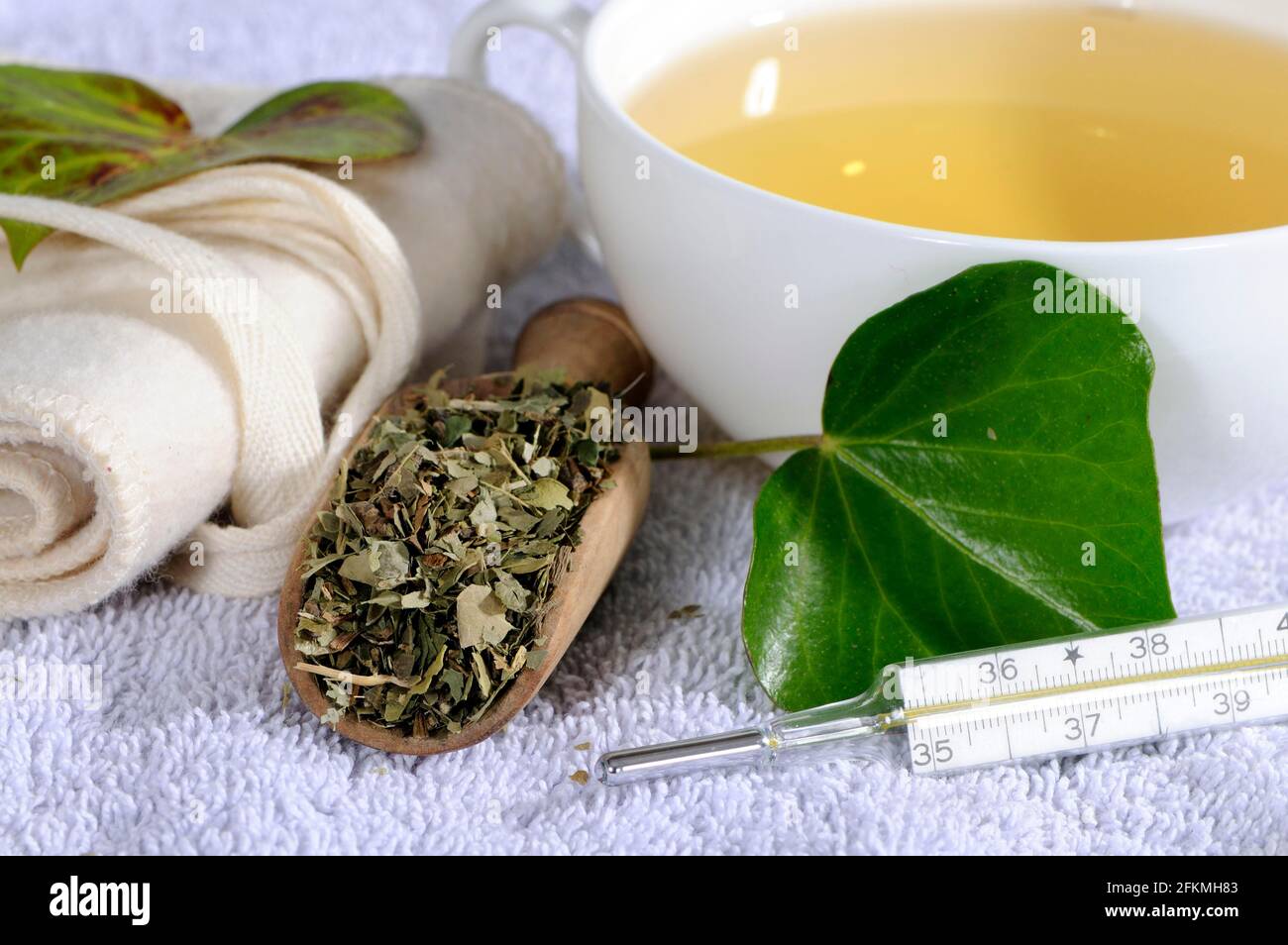 Tazza di edera (Hedera Helix), termometro di febbre Foto Stock