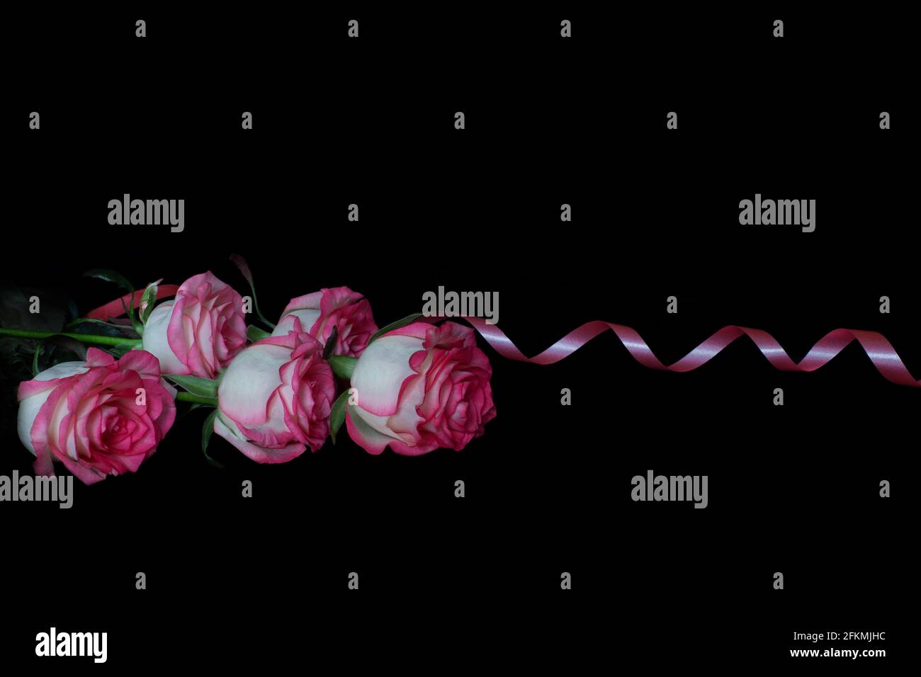 Roses isolato su sfondo nero. Bouquet di rose rosa e nastro rosa. Un regalo per il tuo amato. Bel bouquet di fiori Foto Stock