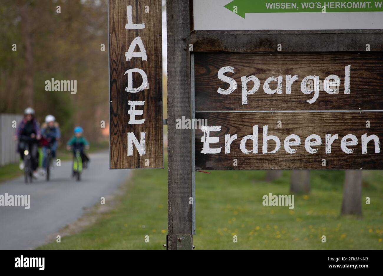 Werne, Germania. 01 Maggio 2021. "Asparagi" è scritto su un segno. I privati possono affittare un pezzo di cresta di asparagi lungo dieci metri per un periodo limitato di tempo presso l''Hof Schulze Blasum' o venire per il taglio spontaneo - l'allevamento di asparagi offre ai privati un servizio speciale intorno alle verdure popolari. (A dpa: 'Affitto di una diga o stabbing spontaneo: Fattoria offre speciale servizio di asparagi') credito: Frito Gentsch/dpa/Alamy Live News Foto Stock