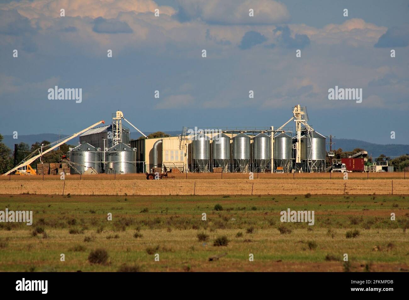 Silos di grano, Narrabri, NSW occidentale, Australia Foto Stock