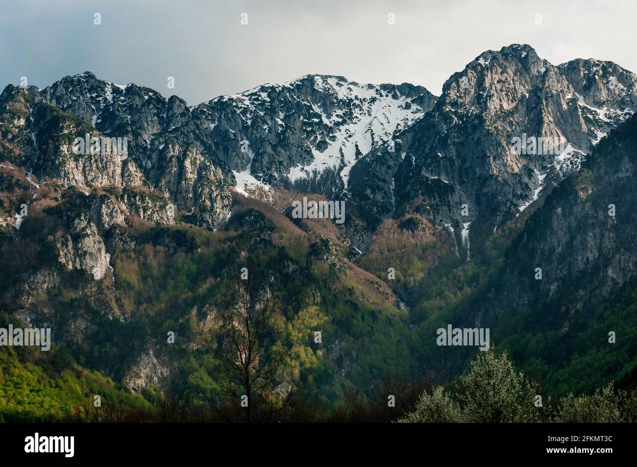 Monte Camosciara, Pescasseroli, Parco Nazionale dell'Aquila, Abruzzo, Lazio e Molise, Abruzzo, Italia, Europa Foto Stock
