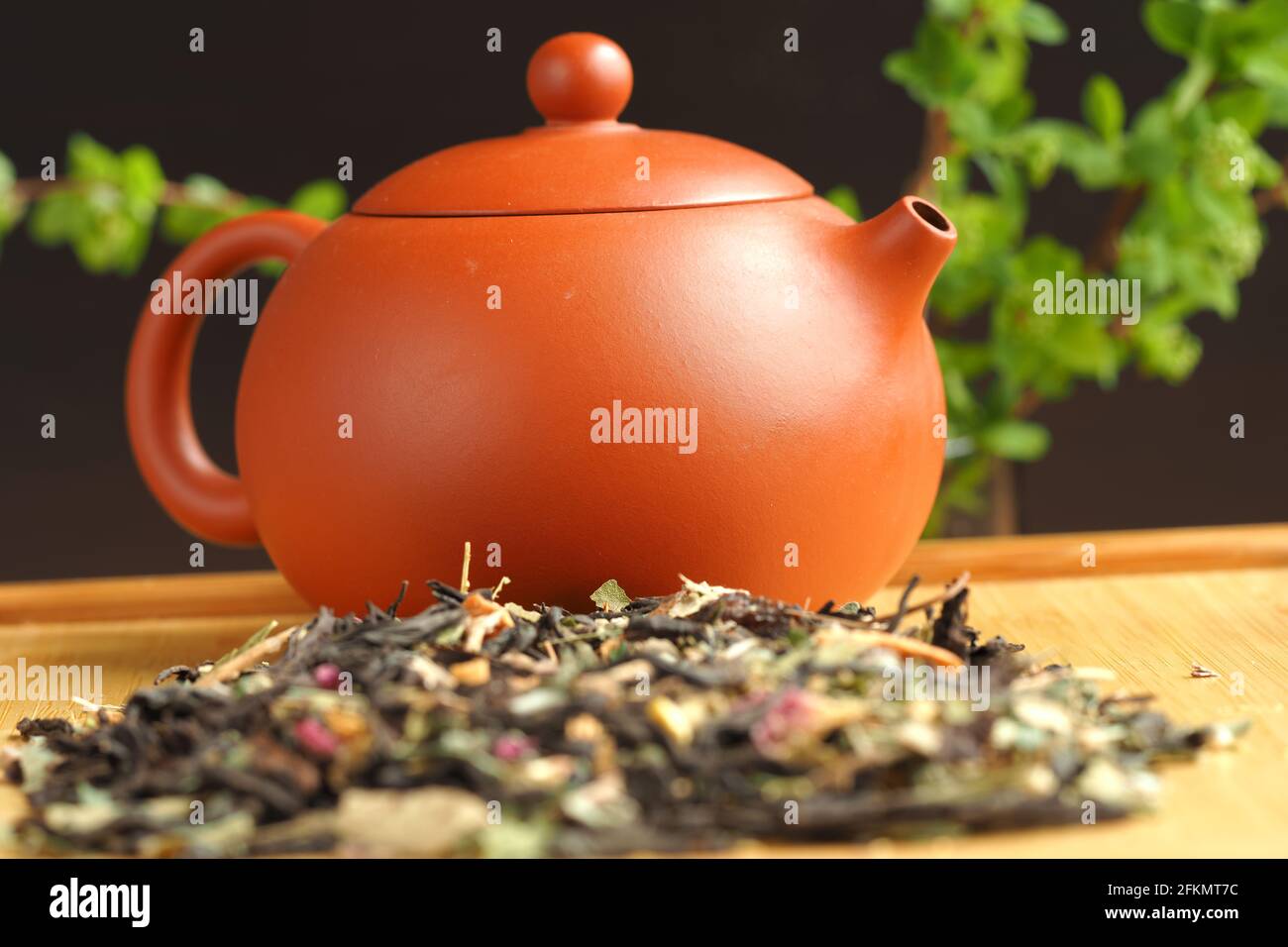 Tè in foglie, tè al salice, preparato in una teiera marrone argilla. Foto Stock