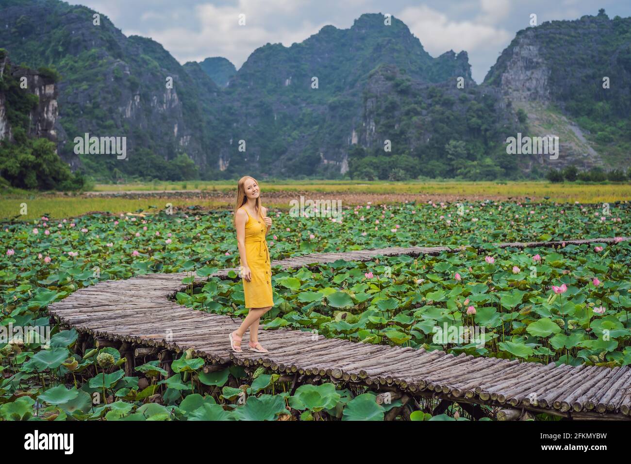 Giovane donna in abito giallo sul sentiero tra il lago di loto. MUA Cave, Ninh Binh, Vietnam. Il Vietnam riapre dopo la quarantena Coronovirus COVID 19 Foto Stock