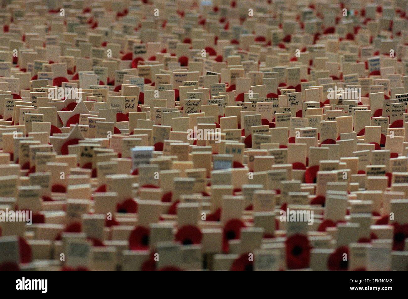 Novembre 2000 i papaveri del giorno della memoria sono raffigurati all'Abbazia di Westminster Foto Stock