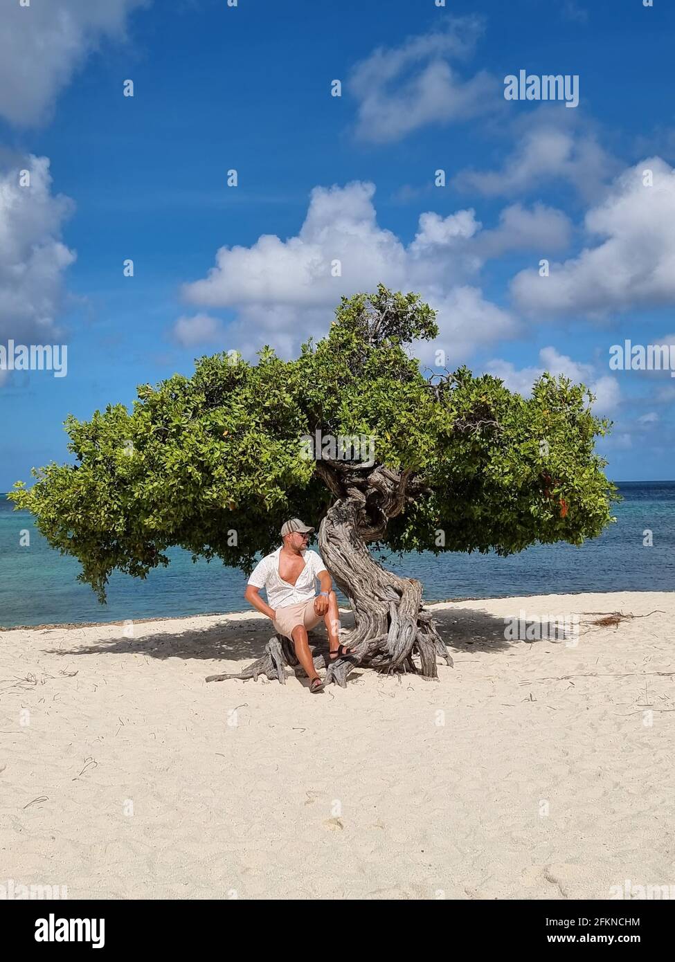 Tramonto a Eagle Beach Aruba, Divi alberi da immersione sulla costa di Eagle Beach ad Aruba. Giovane uomo alla spiaggia di Aruba Foto Stock