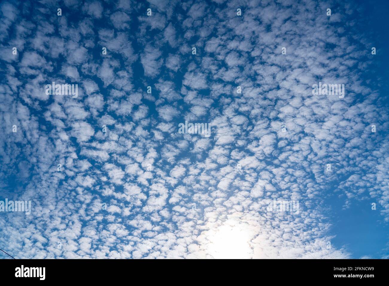 Cielo, nuvole di pulci, nubi di cumuli, Foto Stock