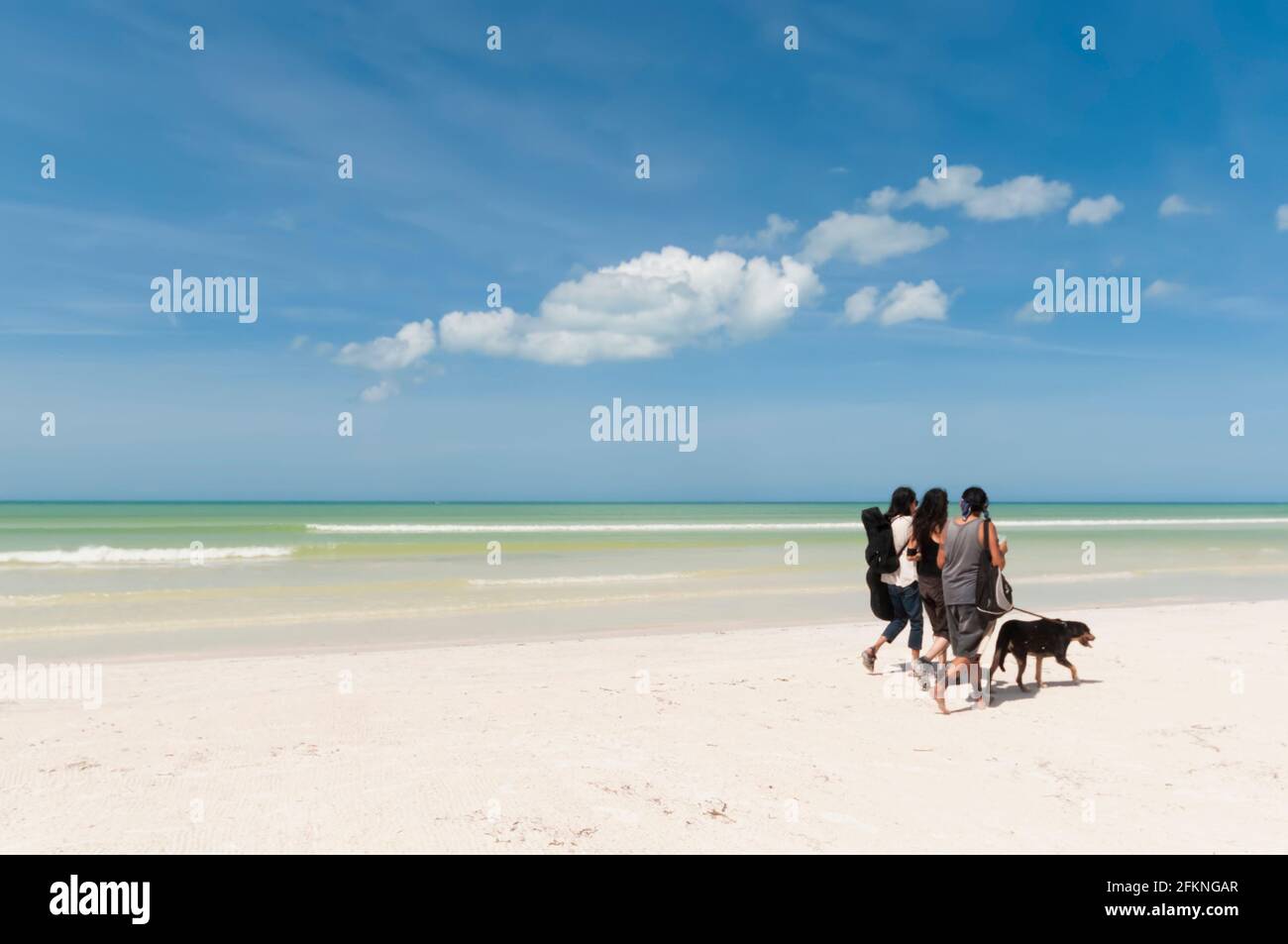 Un gruppo di amici cammina su una spiaggia caraibica sull'isola di Holbox in Messico con un cane. Vacanze di viaggio Foto Stock