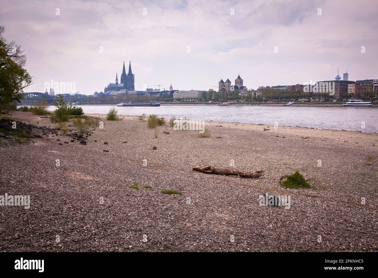 Basso livello del fiume Reno, 29 aprile 2021, le rive del fiume Reno nel quartiere Deutz, vista alla cattedrale, Colonia, Germania. Niedriger WASS Foto Stock