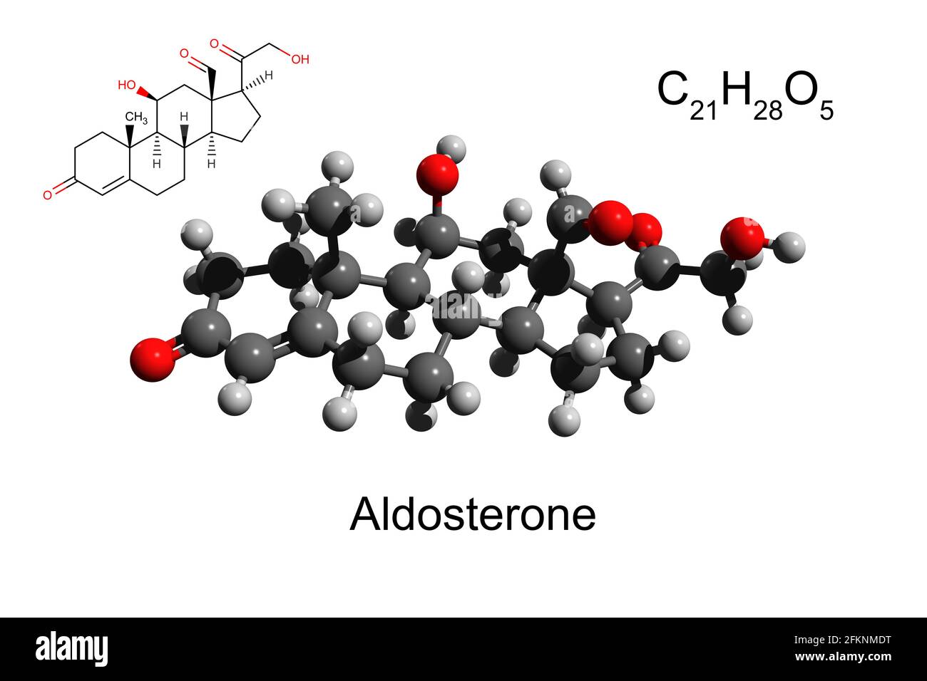 Formula chimica, formula scheletrica, e modello 3D palla-e-bastone di ormone steroideo aldosterone, sfondo bianco Foto Stock