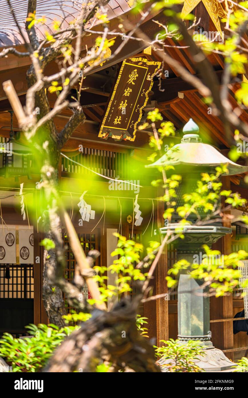 tokyo, giappone - aprile 09 2021: Placca di legno Hengaku con foglie d'oro dipinte bordi e scolpite con calligrafia giapponese del significato di Atago Jinja Foto Stock