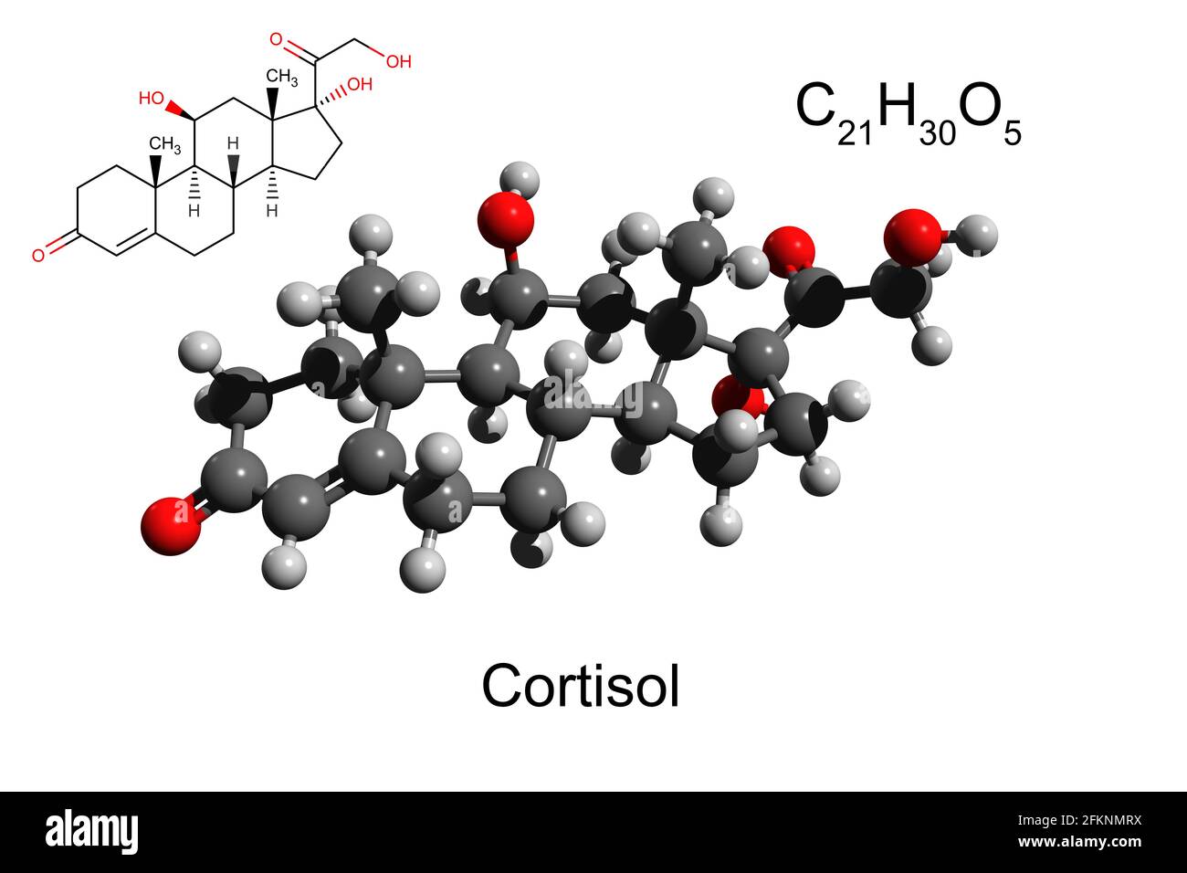 Formula chimica, formula scheletrica e modello 3D a sfera e bastone di ormone cortisolo, fondo bianco Foto Stock