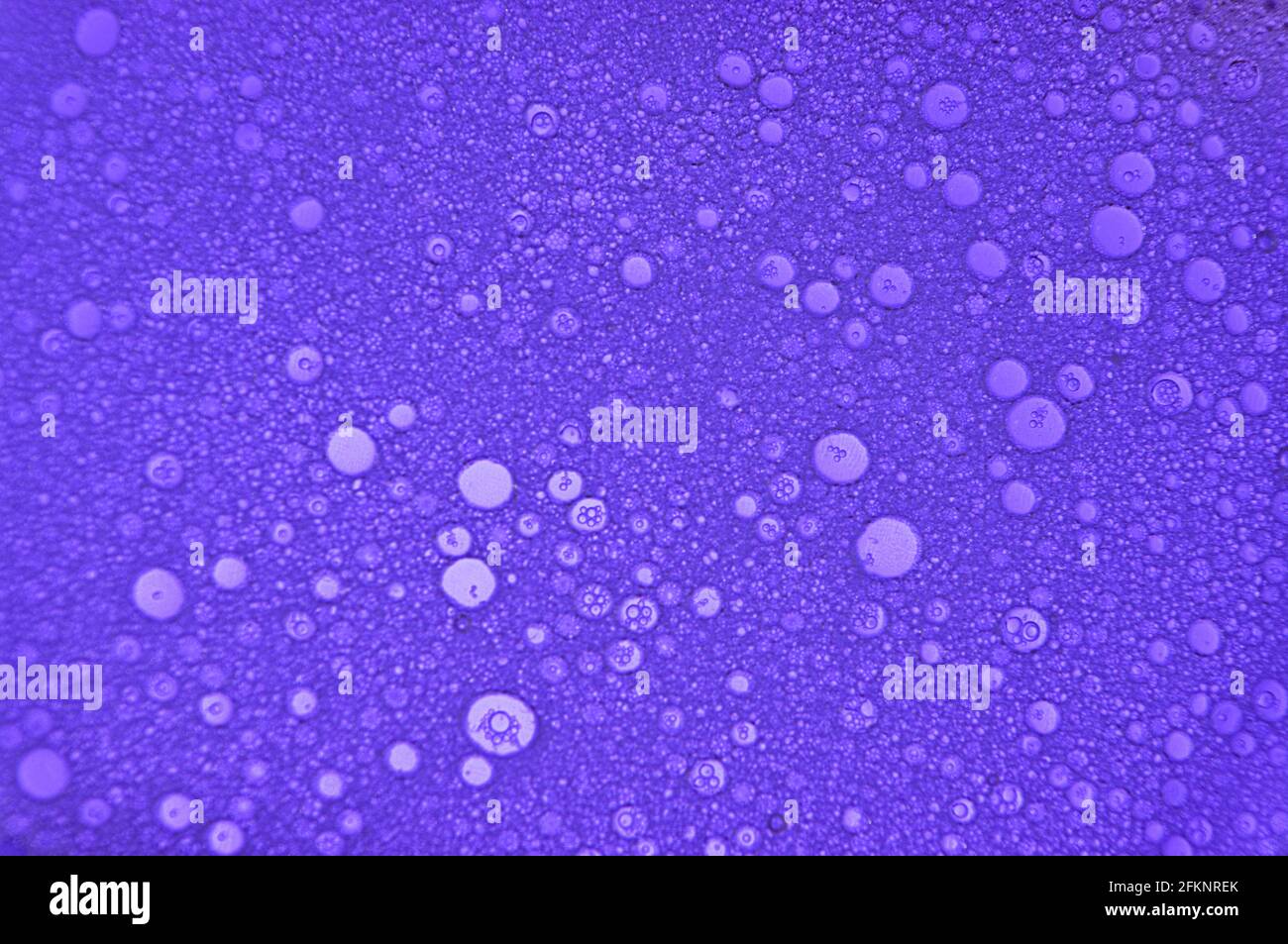 Colori viola di bolle di sapone per sfondi, molto piacevole per l'occhio. Foto Stock