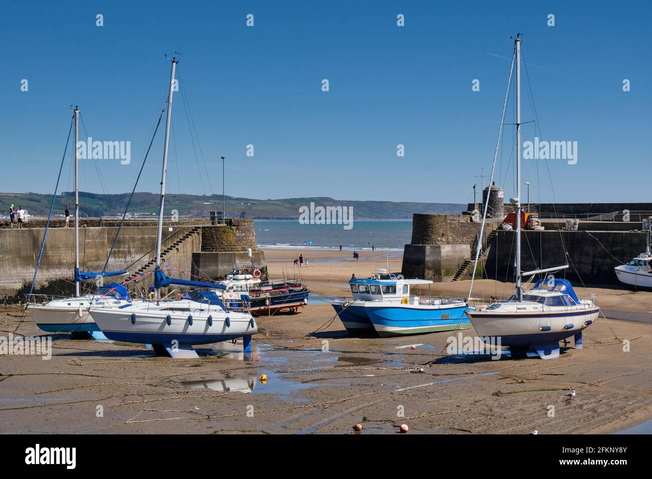 Saundersfoot Harbour, Saundersfoot, Pembrokeshire, Galles. Foto Stock