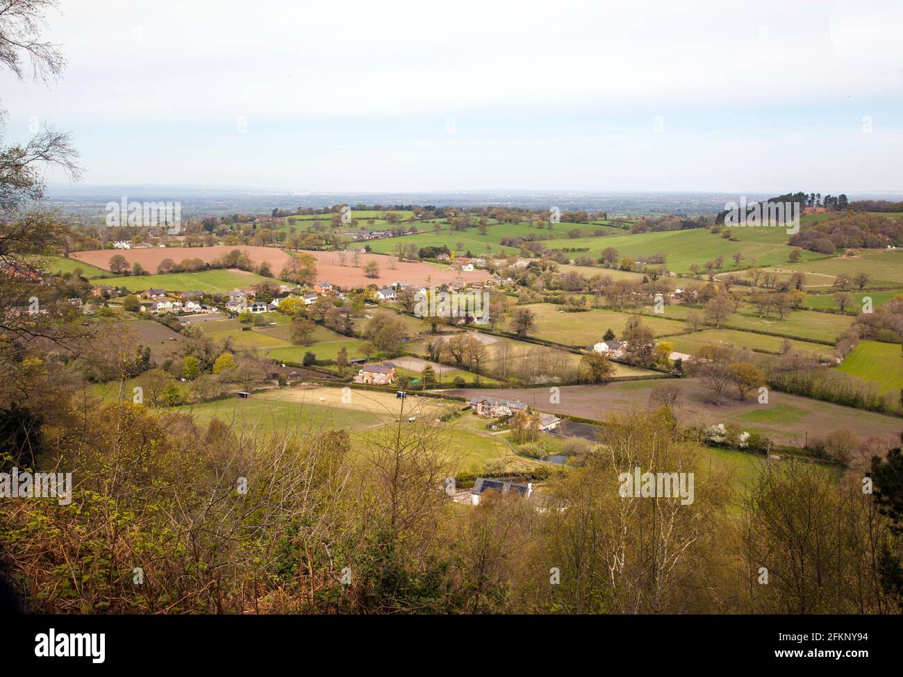 Vista della pianura di Cheshire dal sentiero in arenaria AS Passa sopra Bickerton Hills a South Cheshire Foto Stock