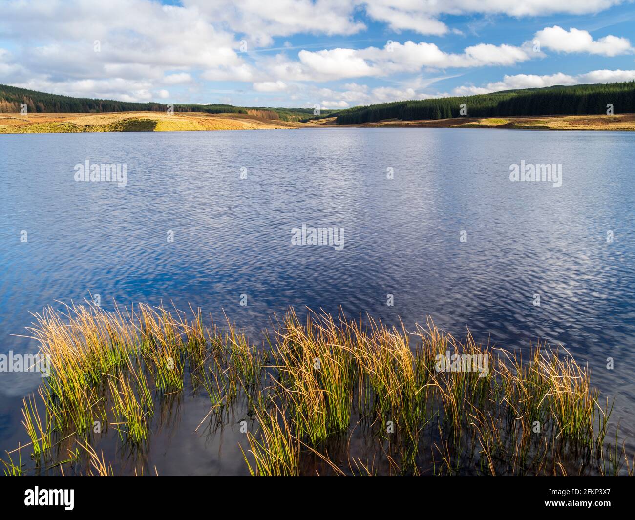 Lago artificiale di Glengavel vicino a Strathaven nel Lanarkshire, Scozia. Foto Stock