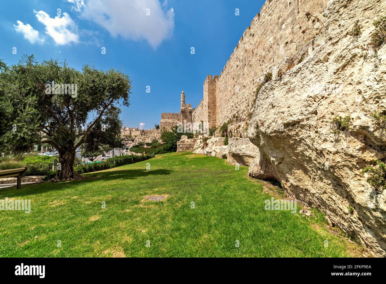 Erba verde, muro circostante e Torre di Davide sotto il cielo blu sullo sfondo nella città vecchia di Gerusalemme, Israele. Foto Stock