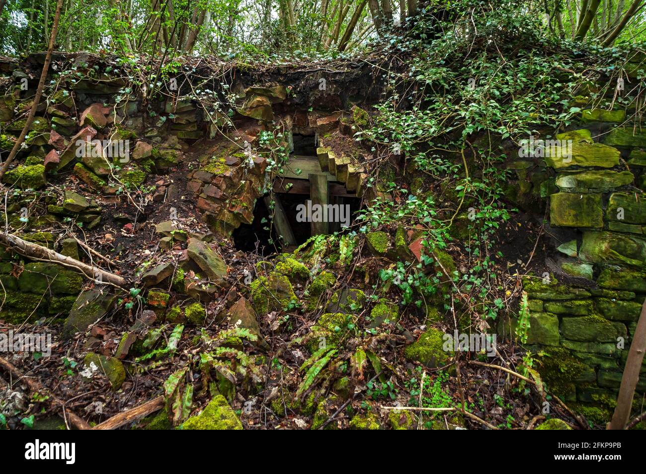 Forni a coke abbandonati ma ben conservati in NE Derbyshire. Foto Stock