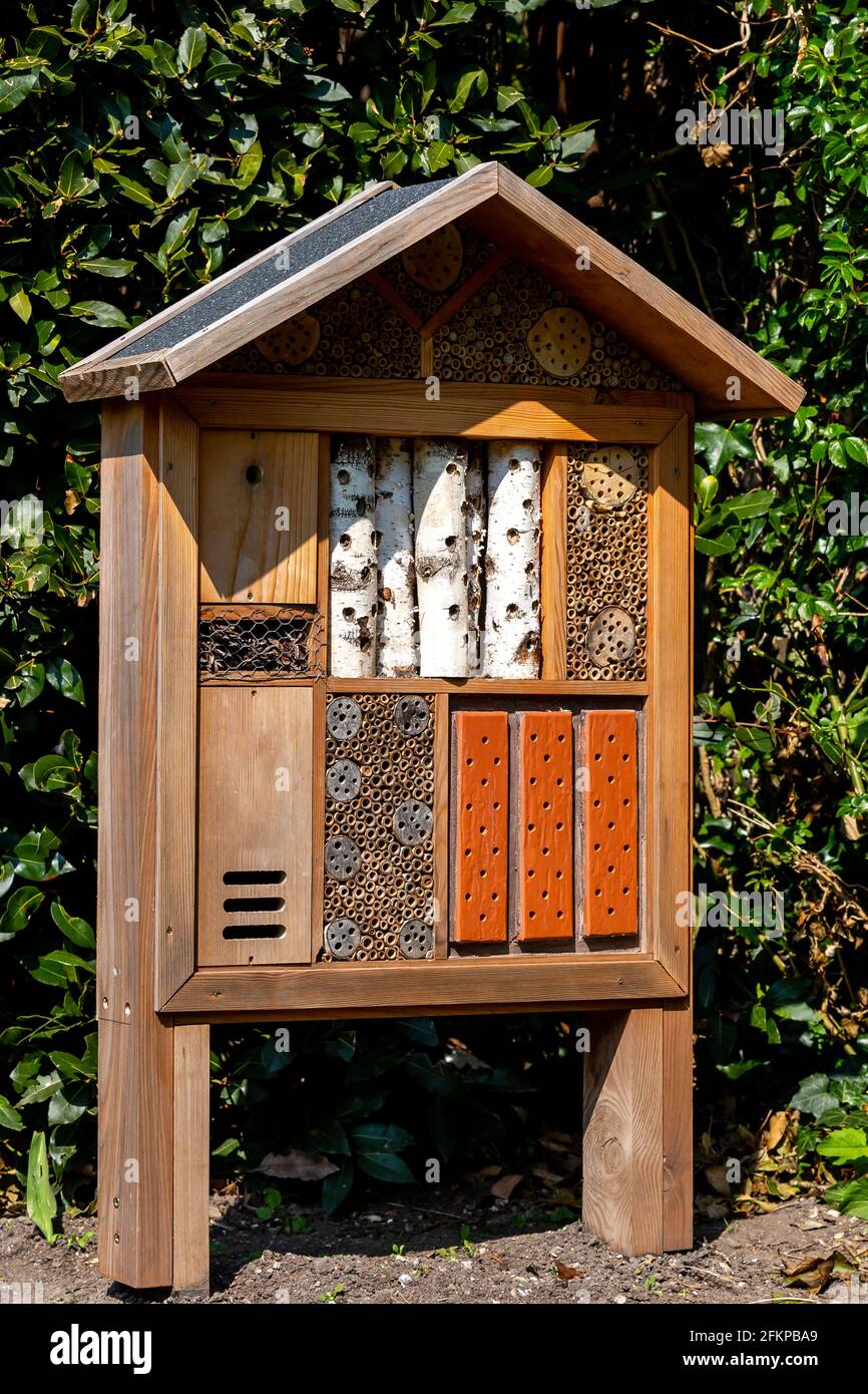 Un Bug Hotel di legno che fornisce Shelter per insetti Foto Stock