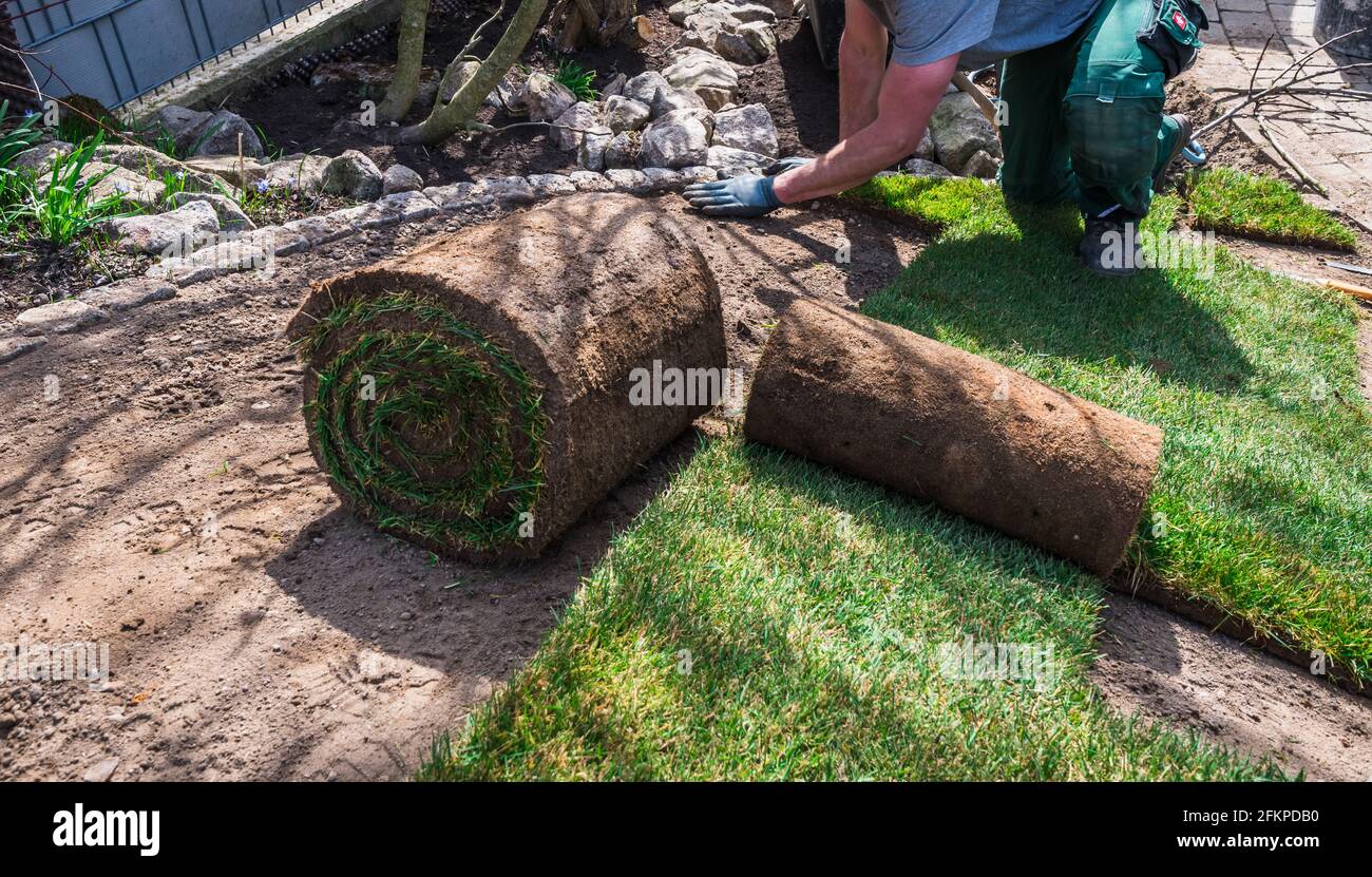 Giardiniere che posa il tappeto erboso in un giardino di casa su terreno in pendenza Foto Stock