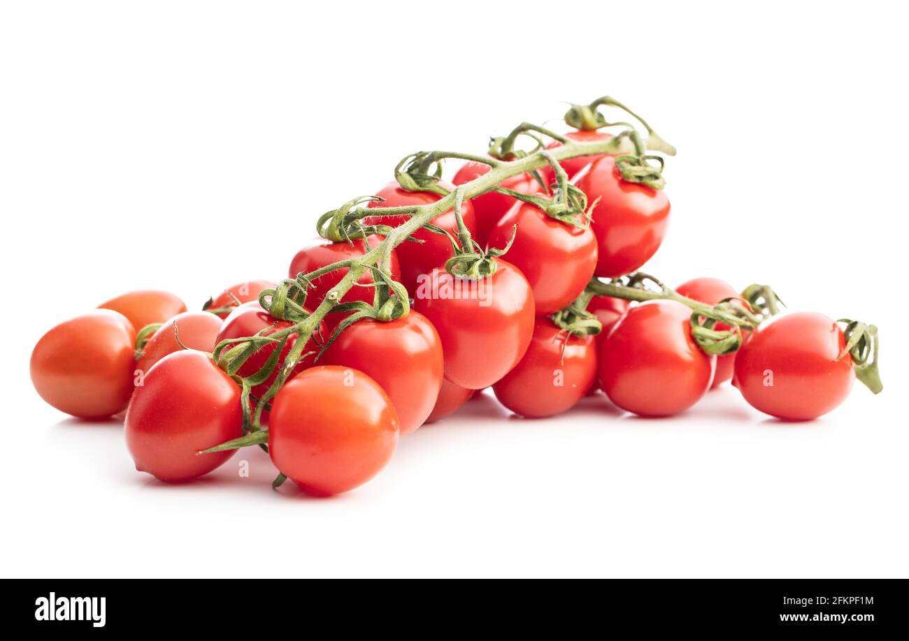 Pomodori ciliegini rossi freschi. Pomodori piccoli su ramo isolato su sfondo bianco. Foto Stock