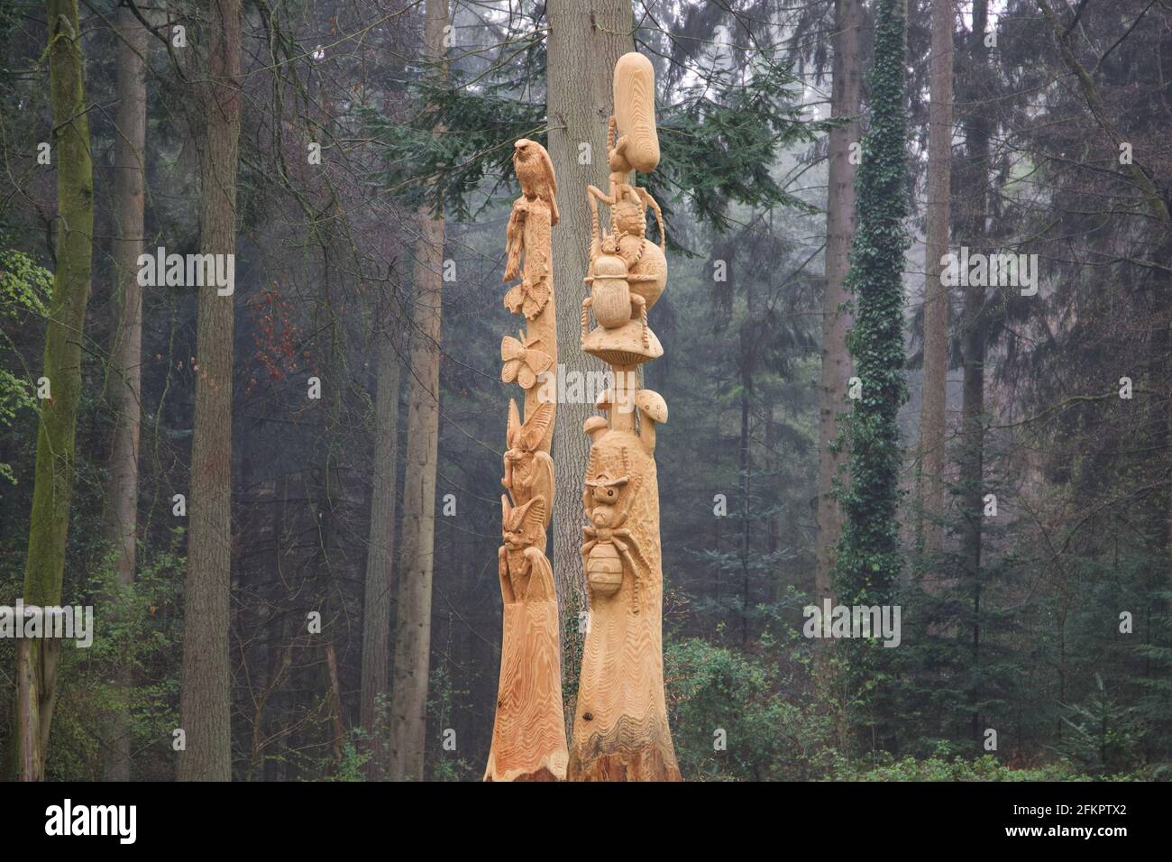 Sculture in legno Totem nella campagna gallese Foto Stock