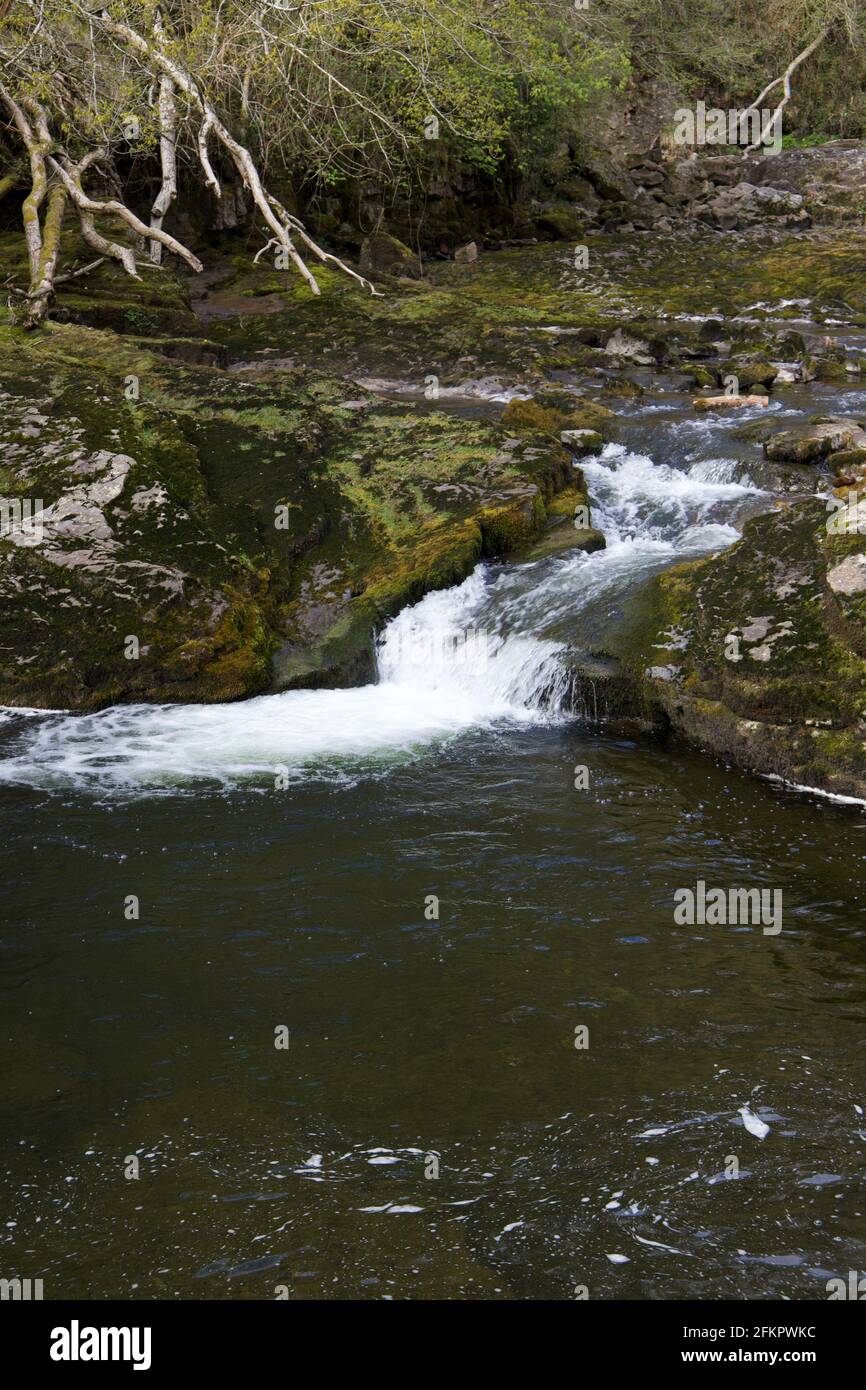 Piccola cascata sul Four Falls Trail Foto Stock