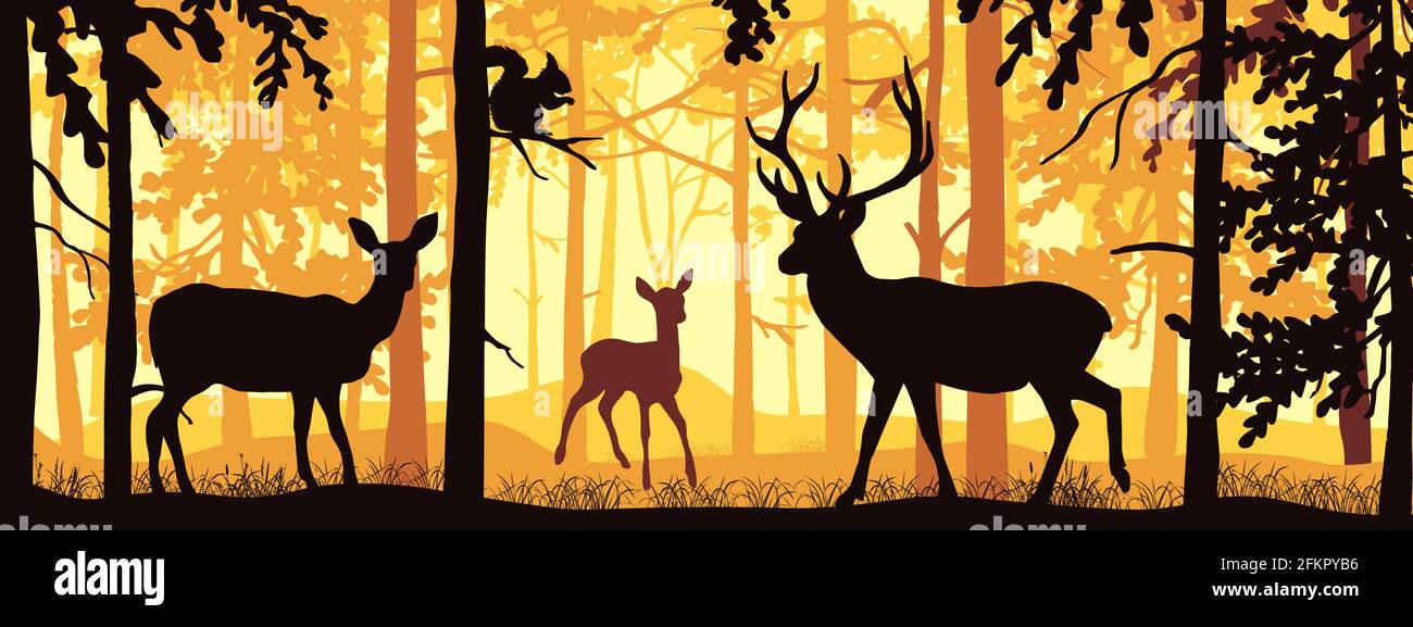 Banner orizzontale di paesaggio forestale. Cervo con capra e fawn nella foresta misty magica. Scoiattolo sul ramo. Silhouette di alberi e animali. Nero e o Illustrazione Vettoriale