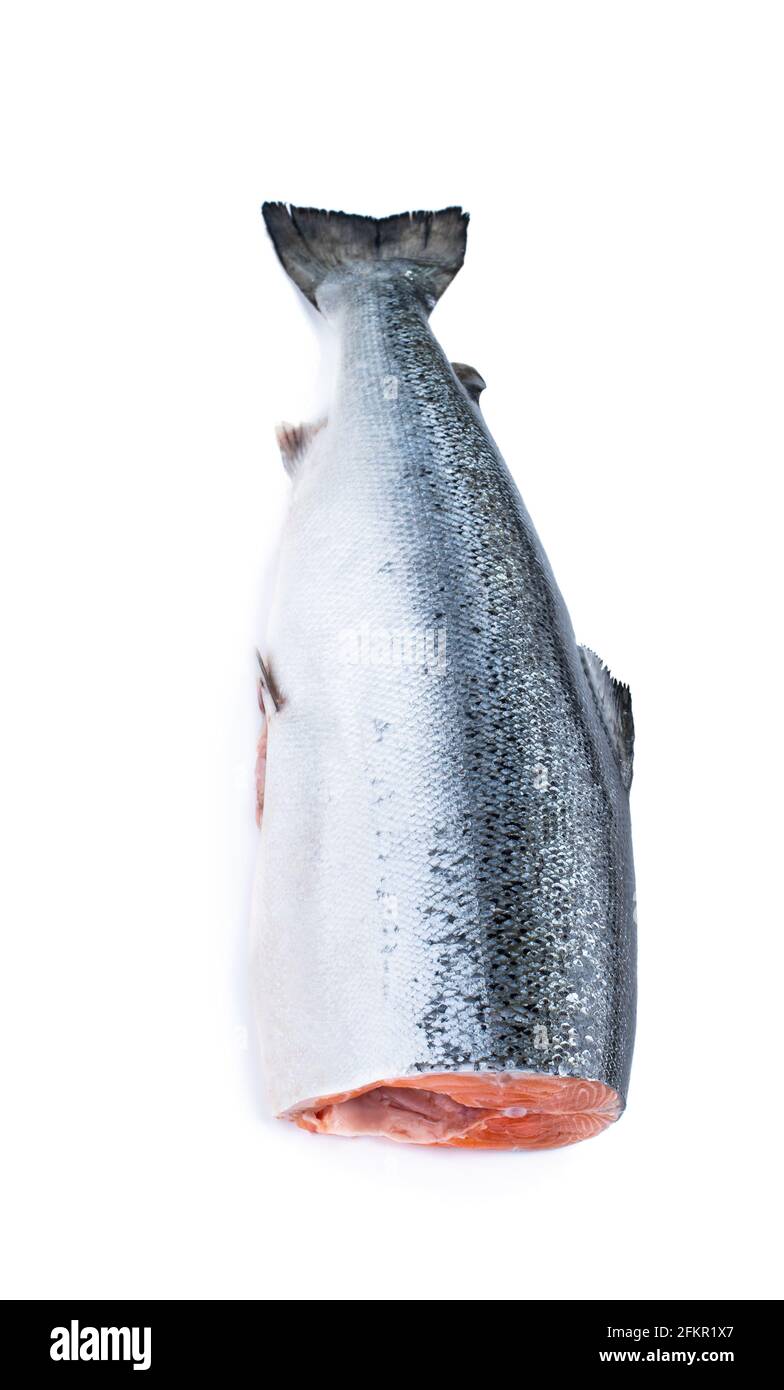 Pesce salmone crudo senza testa isolato su sfondo bianco Foto stock - Alamy