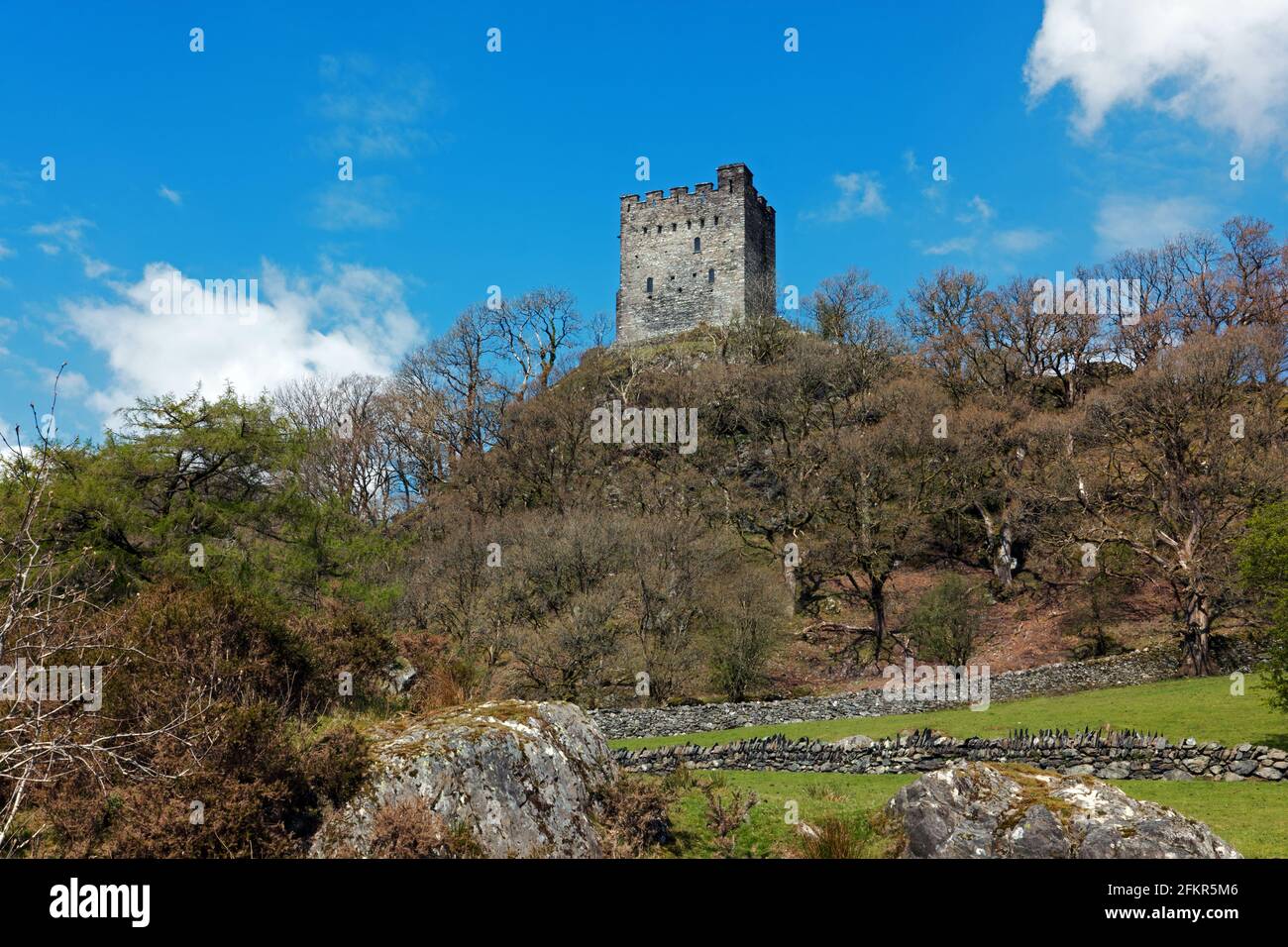 Il castello di Dolwyddelan è situato nei pressi di Dolwyddelan nel Galles del Nord. Esso è stato in parte costruito agli inizi del XIII secolo dal principe Llywelyn ma successivamente modificati. Foto Stock