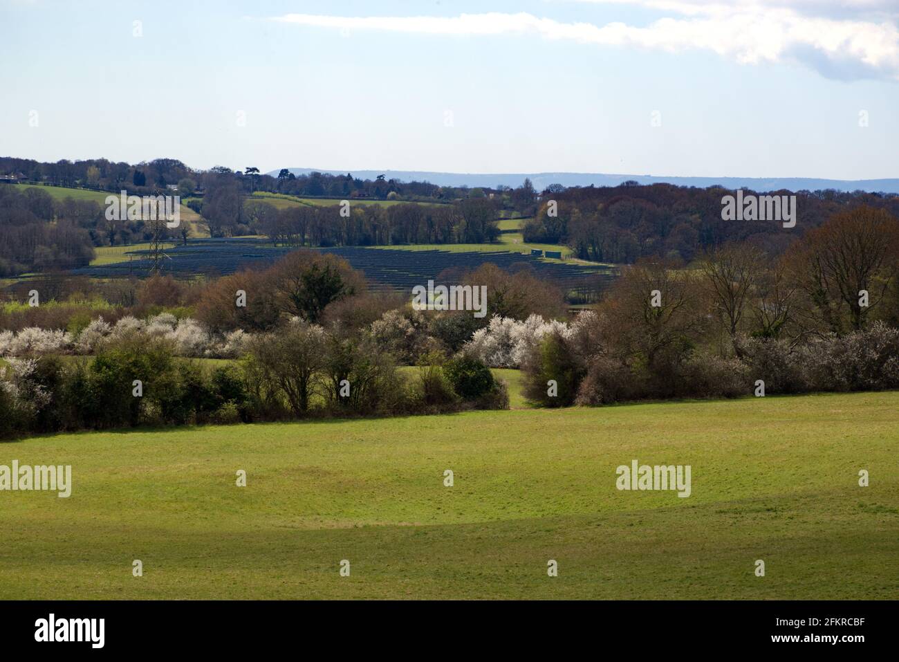 Una vista di una fattoria solare, dove pannelli solari riempiono un pendio di un campo di prateria in Sussex, Engalnd, Regno Unito. La diversificazione dell'agricoltura britannica. Foto Stock