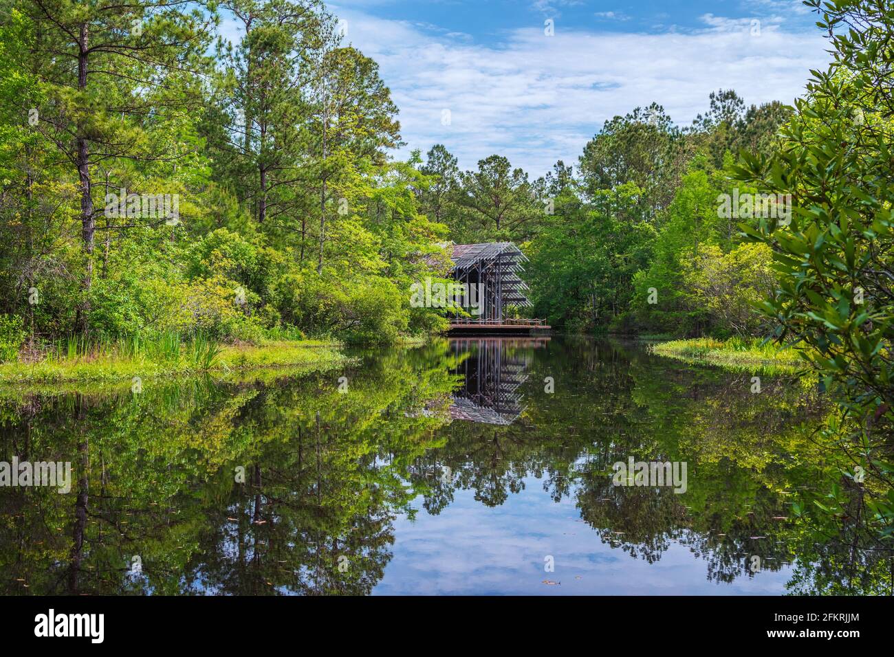 Pinecote Pavilion presso il Crosby Arboretum, un conservatorio che protegge le piante native del bacino idrografico del fiume Pearl del Mississippi e della Louisiana. Foto Stock