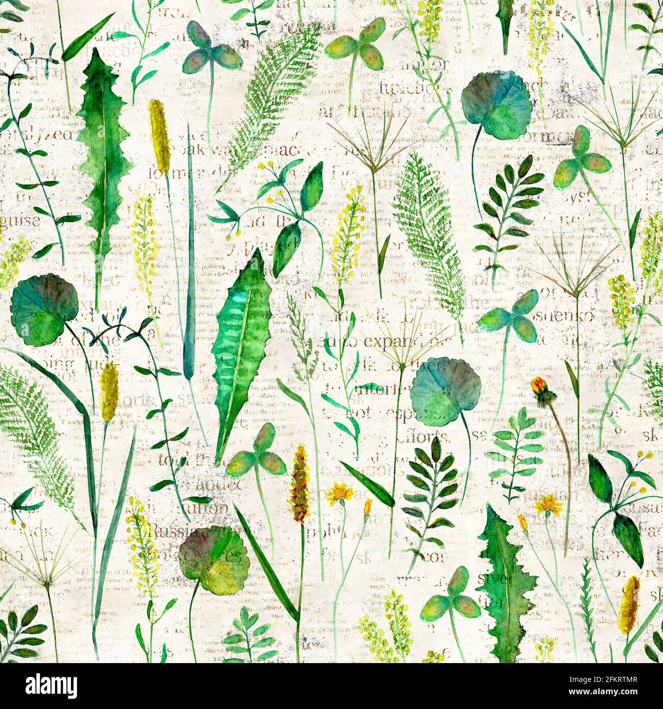 Modello senza cuciture con fiori selvatici prato, erbe, erbe. Acquerello illustrazione botanica disegnata a mano sullo sfondo del giornale. Acquerello o erbe Foto Stock