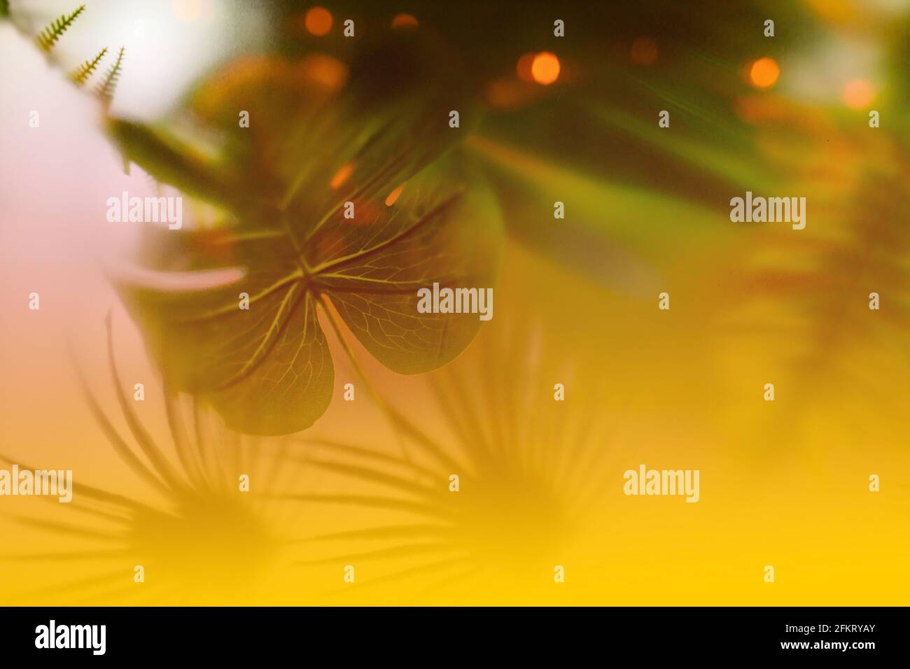 Carta da parati da foglie di palma verdi. Composizione ecologica del palmo. Foto Stock