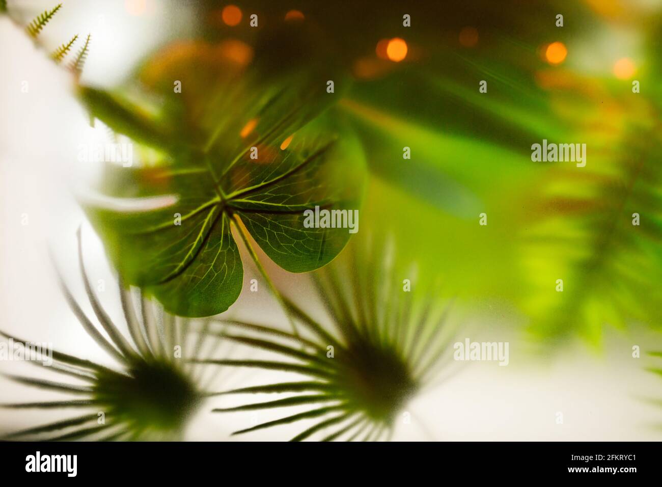 Carta da parati da foglie di palma verdi. Composizione ecologica del palmo. Foto Stock