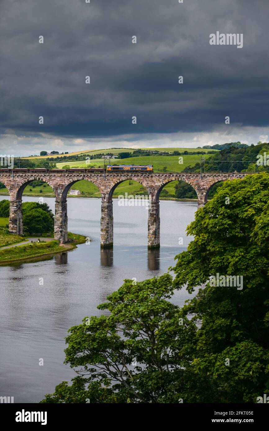 British Rail Class 66 gestita da GB Raidargo (GBRf) in direzione nord attraverso il Royal Border Bridge a Berwick Upon Tweed, Northumberland, Inghilterra Foto Stock