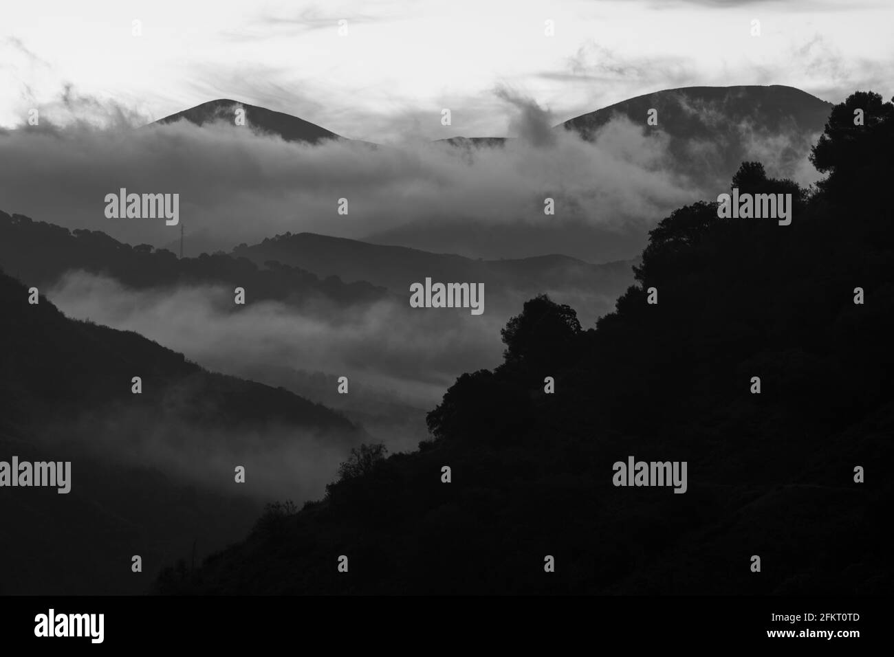 Silhouette di un paesaggio montano in una mattina nebbiosa in scala di grigi Foto Stock